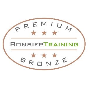 Premium-Ticket Bronze [3 Monate]